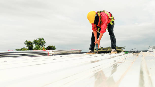 Professional Roofing Services in Brier, WA