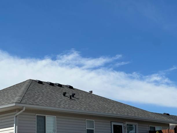 Best Flat Roofing  in Brier, WA